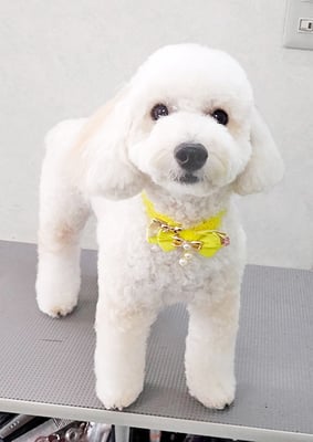 長谷ラナちゃん