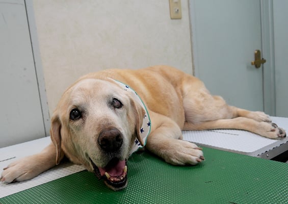 平松マックスちゃん