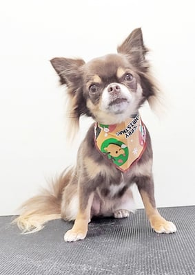 加川モカちゃん