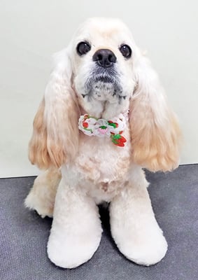 福富ベリーちゃん