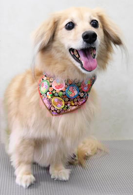 江口エルちゃん