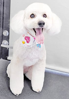 長谷ラナちゃん