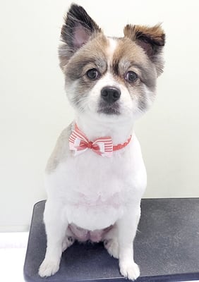 山崎まる子ちゃん