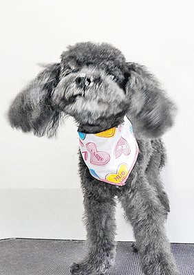 中井ヒナちゃん