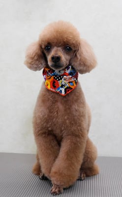 平松クーちゃん