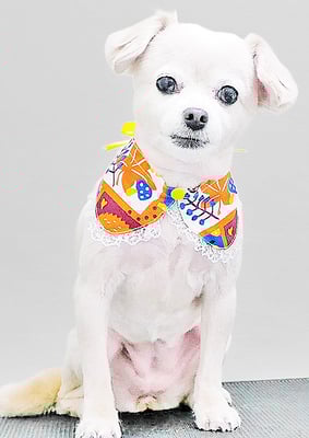 酒井ヒナちゃん