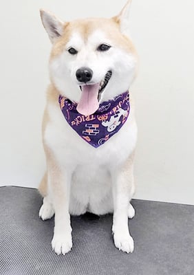 小村ゆずちゃん