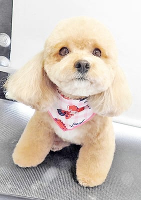 丸山小琴ちゃん