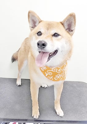 森下むぎちゃん