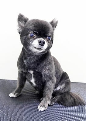 森崎シロちゃん