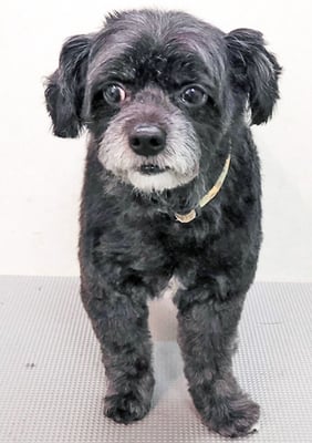 濵田リヨンちゃん