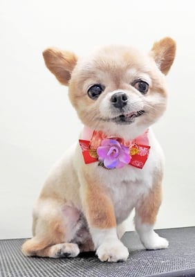 川田オカンちゃん