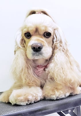 高尾キャンディちゃん