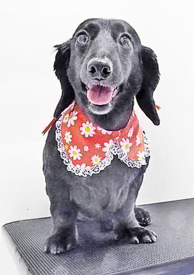 東メロンちゃん