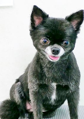 森崎シロちゃん