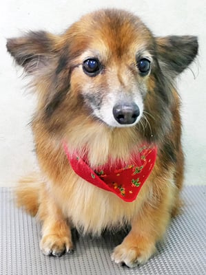 田島ベリーちゃん