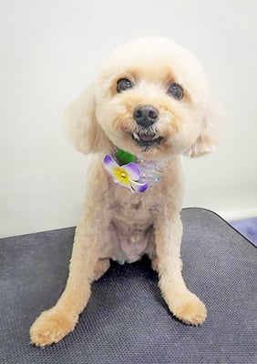 鎌田ミントちゃん