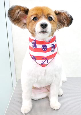 玉利ゆずちゃん