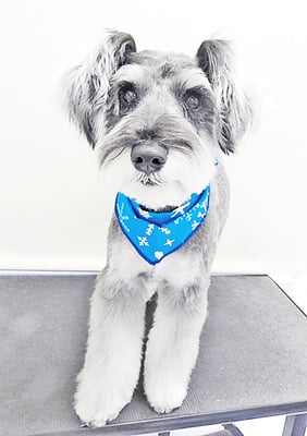 糸山そらちゃん