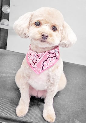 岩元ナノちゃん