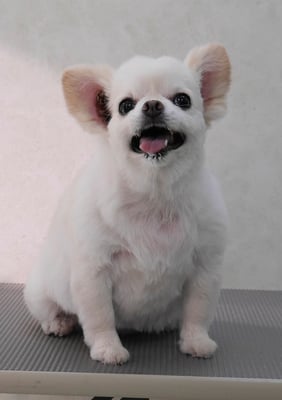 森崎ヒメちゃん