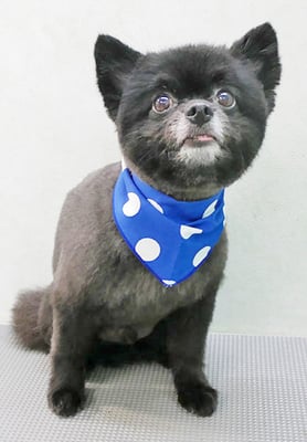 中村ウルルちゃん