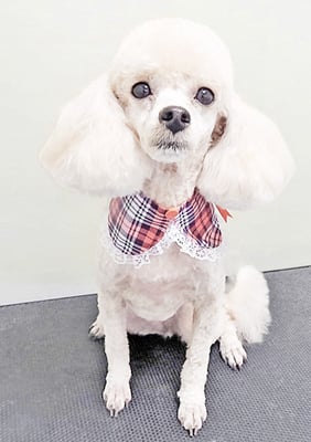 新留モコちゃん