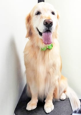 美代ジューンちゃん