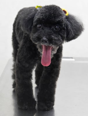 中井ヒナちゃん