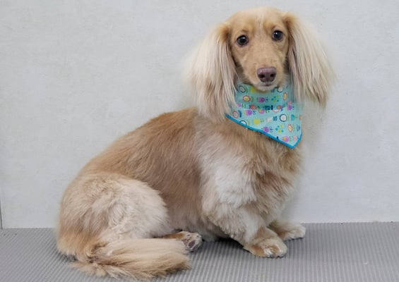 片山マルルちゃん