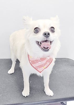 清原ムムちゃん