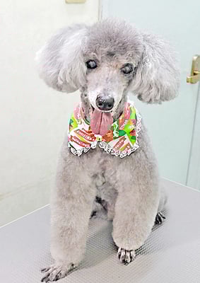 竹崎コナンちゃん