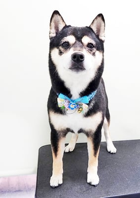 岩﨑レイちゃん