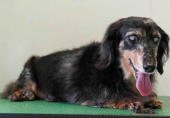 西山ユウちゃん