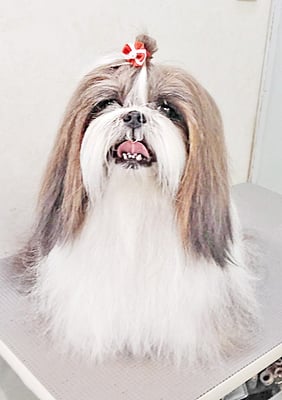 眞邉ももちゃん