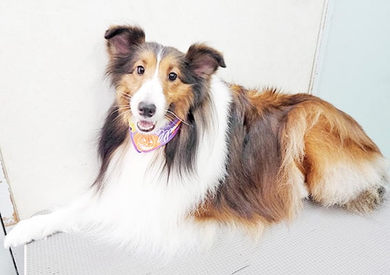 國生レイラちゃん