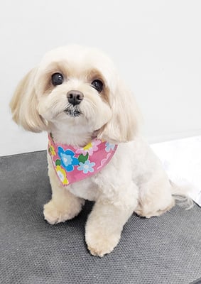 永濱サラちゃん