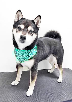 岩﨑レイちゃん