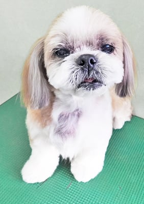 堂園ロンちゃん