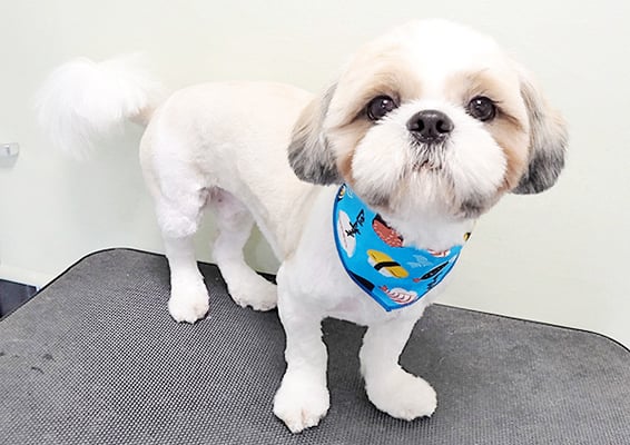 榊原もちちゃん