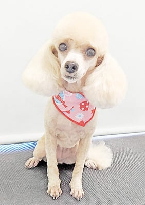 新留モコちゃん