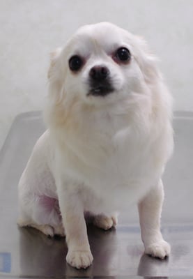 森崎ヒメちゃん