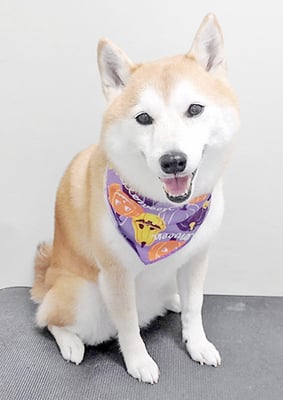 小村ゆずちゃん