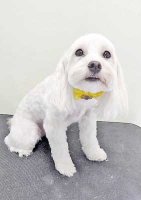 赤崎ルナちゃん