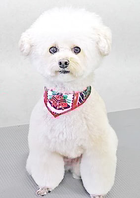 山村レオンちゃん