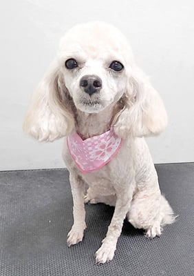 新留モコちゃん