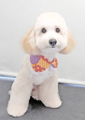 長谷ラナちゃん