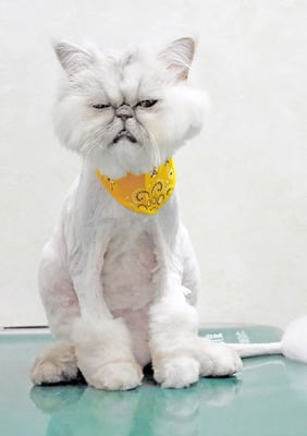 前野ミミィちゃん