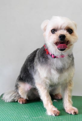 岡元ベリーちゃん