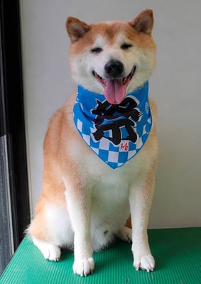 竹崎くうちゃん